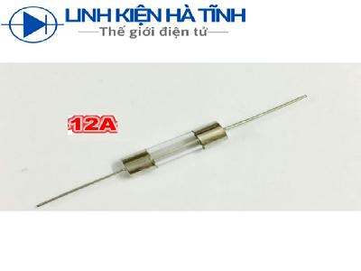 Cầu chì chân cắm 5x20mm 12A 250V cầu chì bếp từ 12a Cầu chì chân cắm 5x20mm 12A 250V cầu chì bếp từ 12a