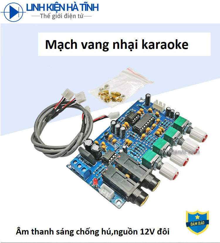 Mạch tạo tiếng vang PT2399 mạch echo karaoke Full phụ kiện