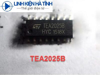 Chip khuếch đại âm thanh TEA2025 TEA2025B TEA2025D SMD chất lượng tốt nguyên bản Chip khuếch đại âm thanh TEA2025 TEA2025B TEA2025D SMD chất lượng tốt nguyên bản