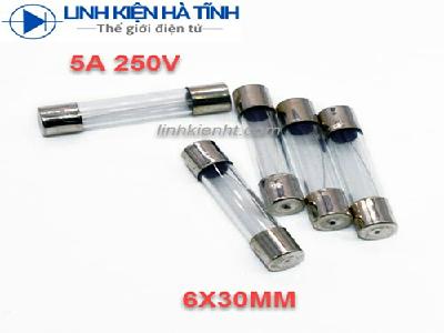 [10 CÁI] CẦU CHÌ ỐNG 5A 250V 6X30MM 